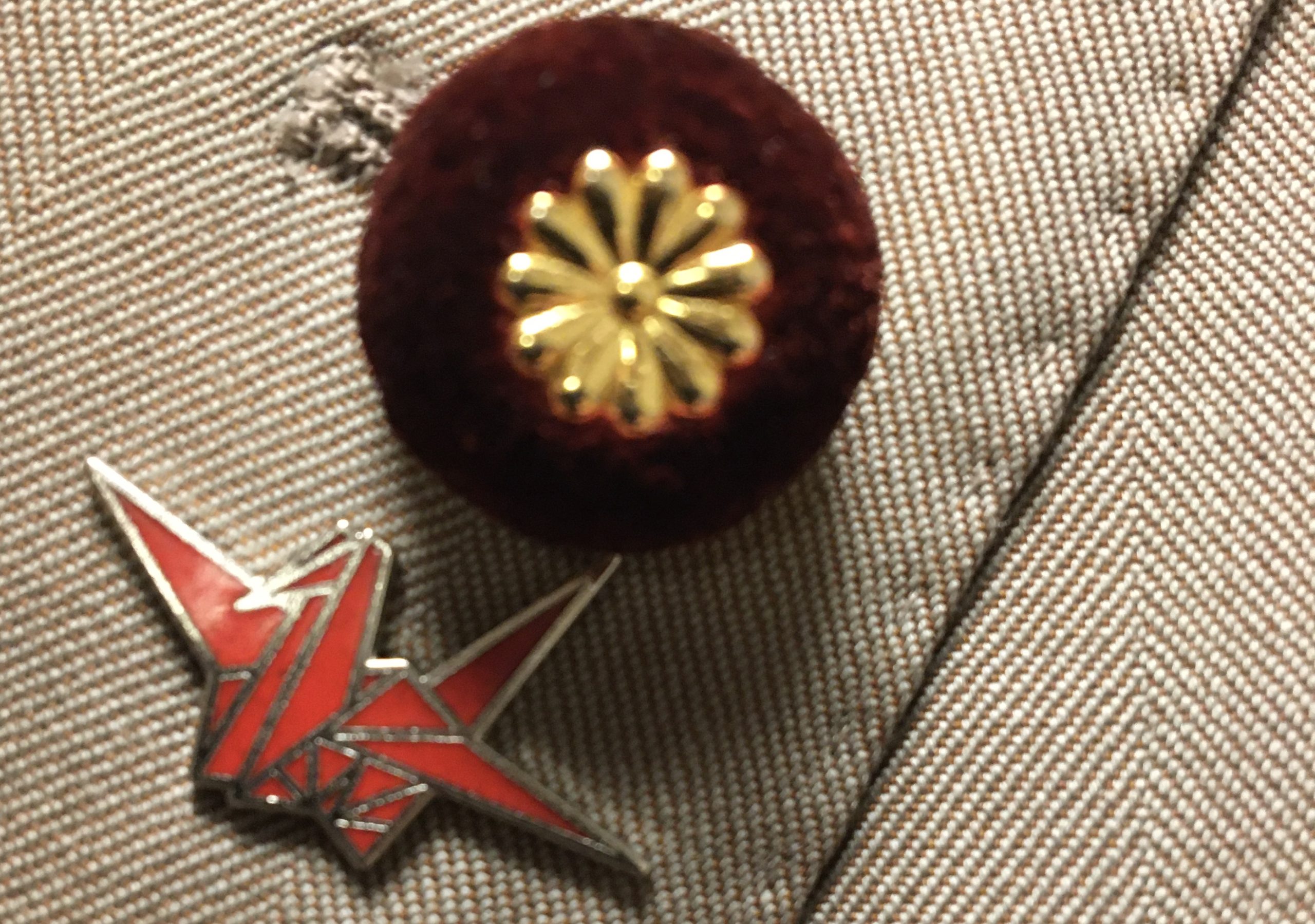 WEB東京民報衆院議員レポート 笠井亮 さぁ、折り鶴バッジの内閣を〈11