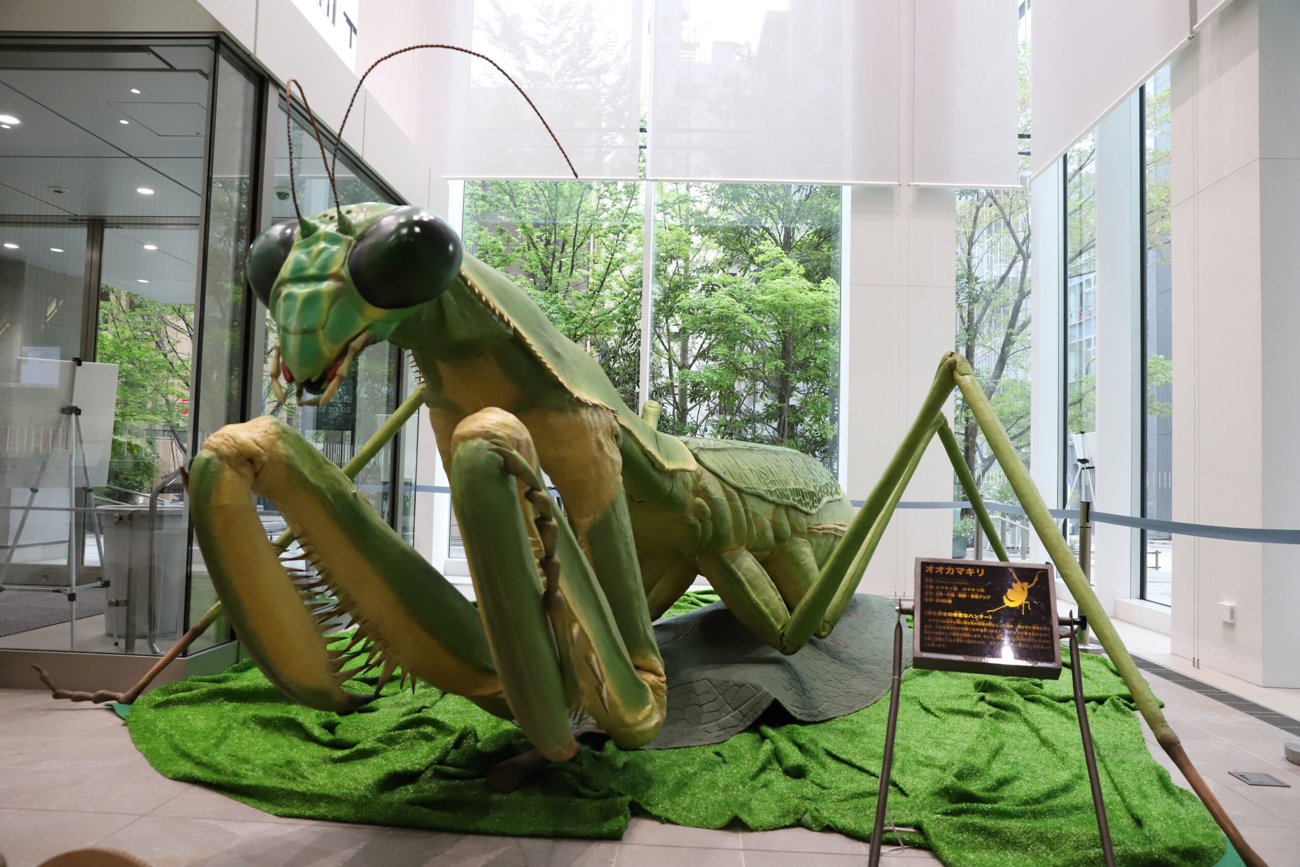 WEB東京民報巨大な昆虫が都心に出現 港区立 みなと科学館が総選挙