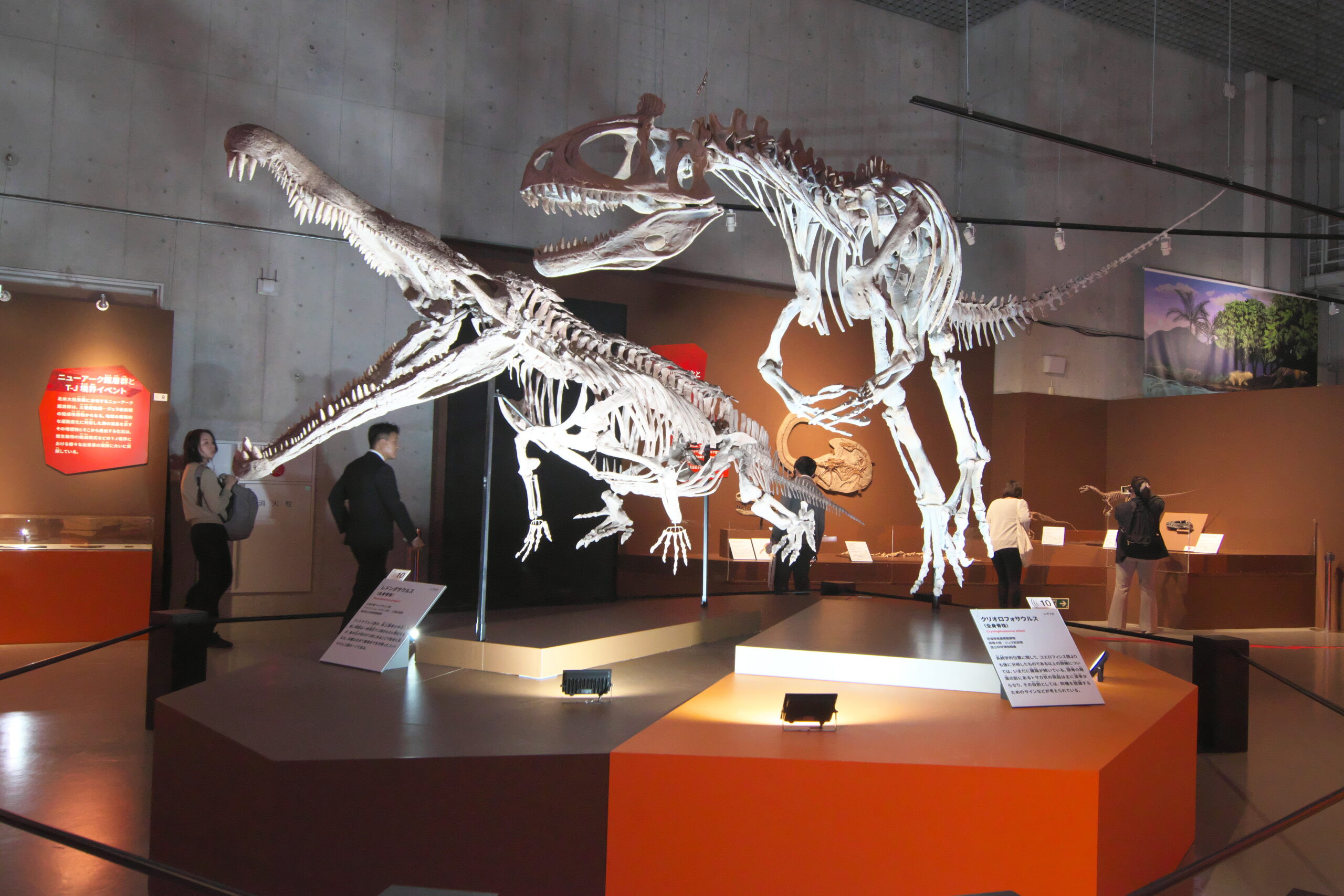 WEB東京民報生存かけた生命の壮大な旅 国立科学博物館で大絶滅展 福山